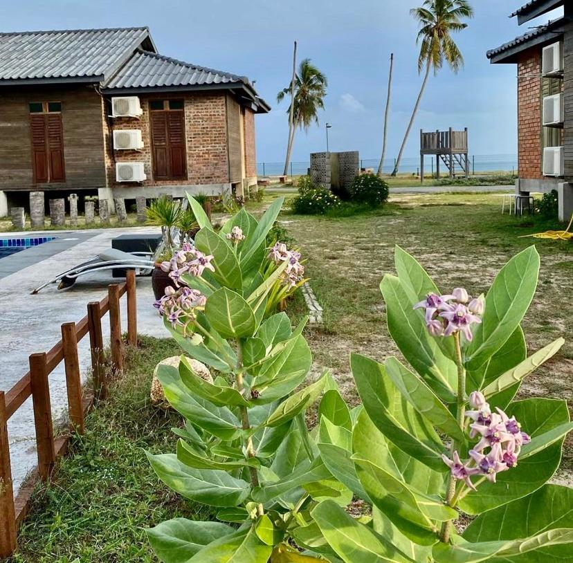 The Skepeng Lägenhet Kampung Penarik Exteriör bild